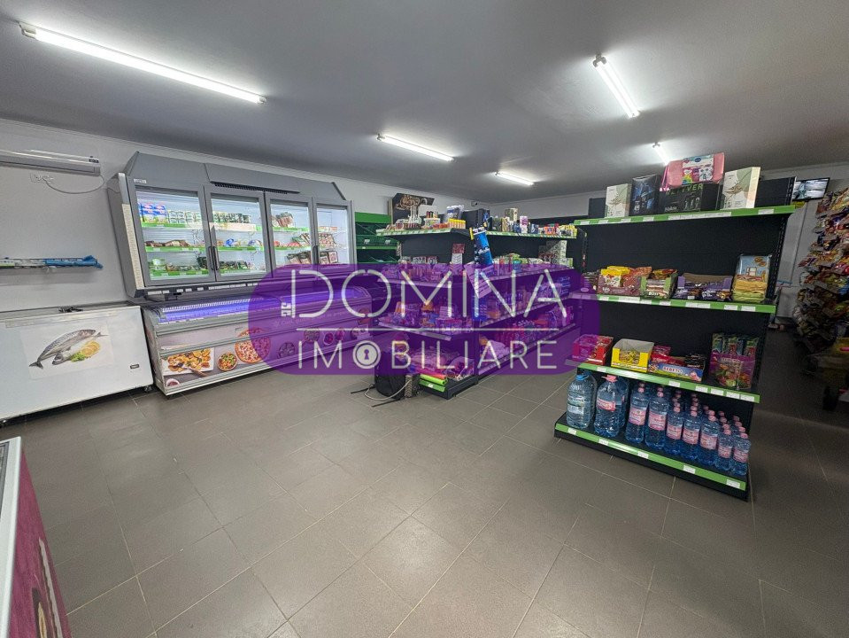 Vânzare spațiu comercial cu teren 1.077 mp, la doar 50 m de DN 67 – Câlnic