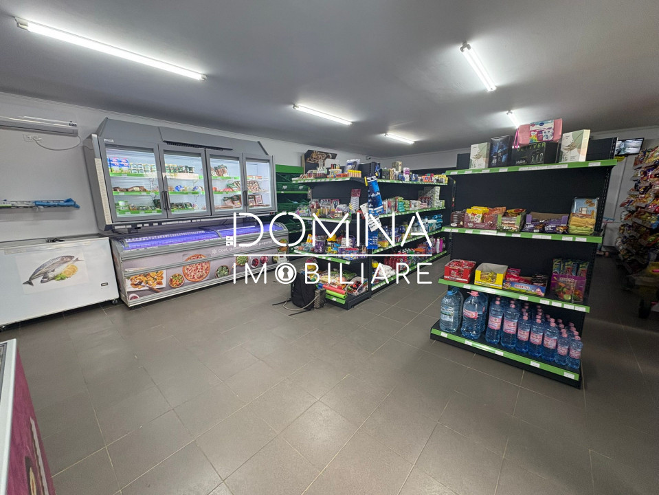 Vânzare spațiu comercial cu teren 1.077 mp, la doar 50 m de DN 67 – Câlnic