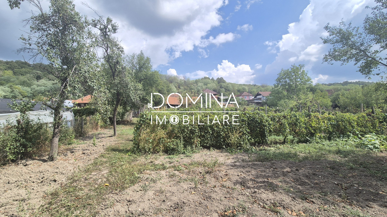 Vânzare casă tradițională situată în Bengești-Ciocadia, strada Linia Mare