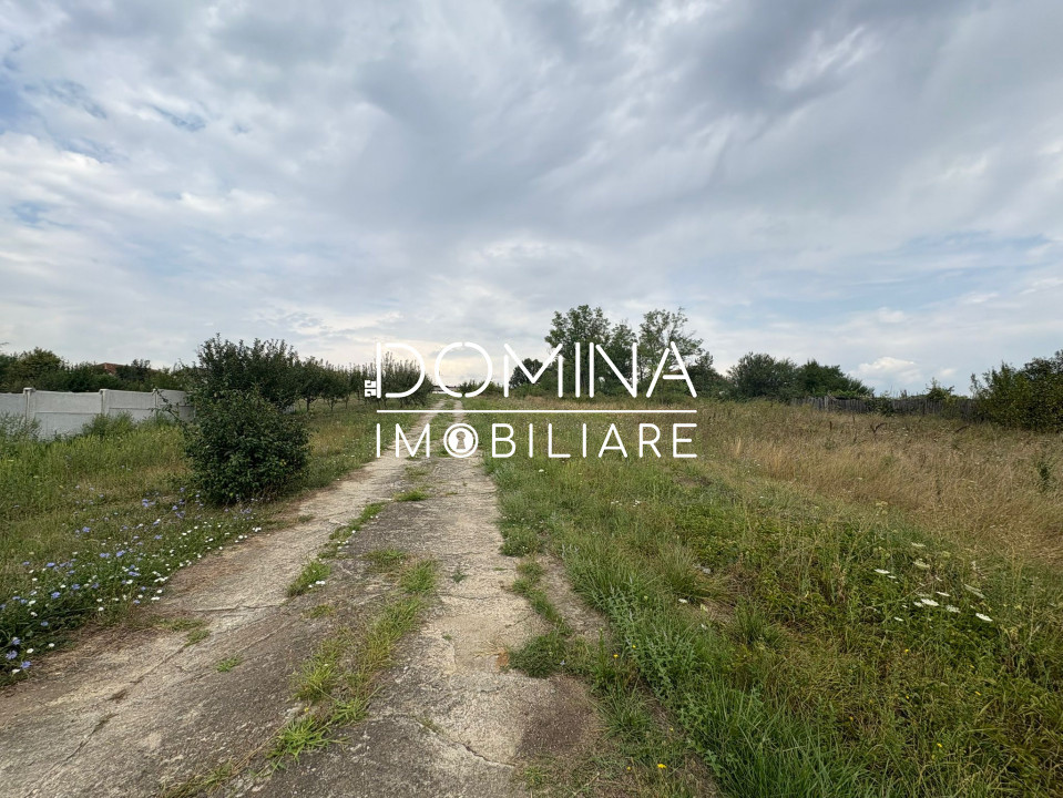 Vânzare teren 6800 mp intravilan și extravilan - comuna Câlnic - sat Câlnic