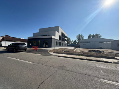 Închiriere spațiu comercial *peste 350 mp cu parcare* - strada Tineretului