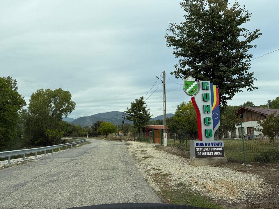 Vânzare teren 13.000 mp - Runcu-Suseni - oportunitate turistică