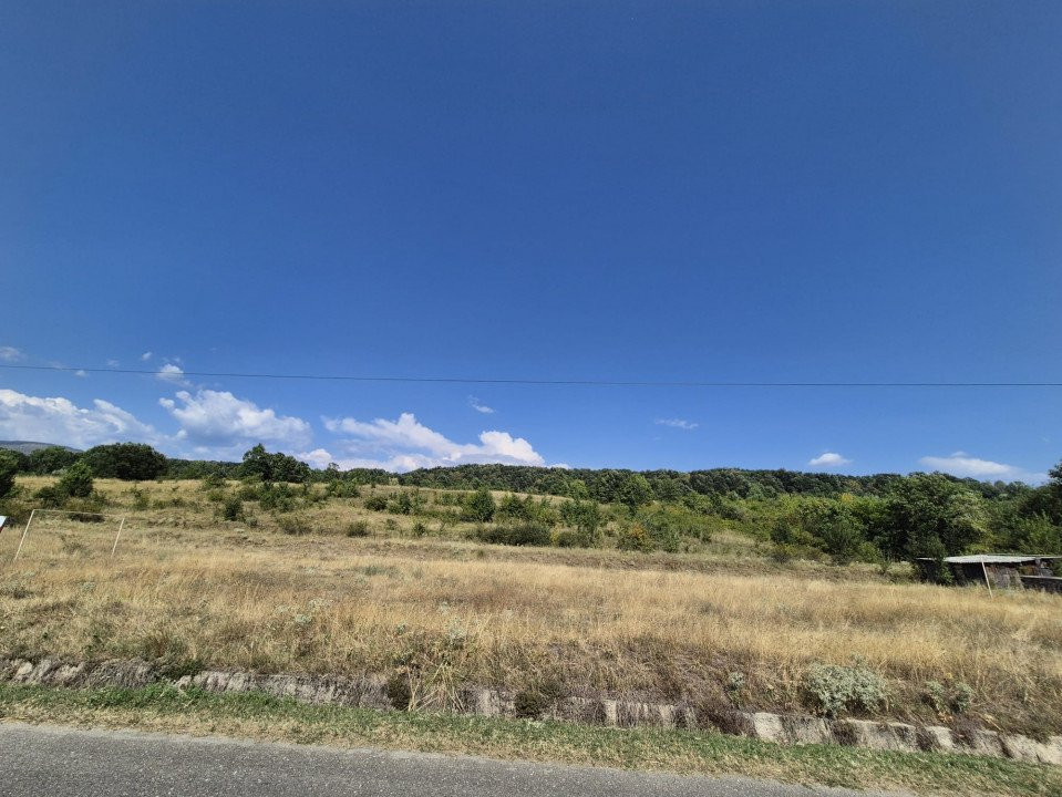 Vânzare teren 13.000 mp - Runcu-Suseni - oportunitate turistică