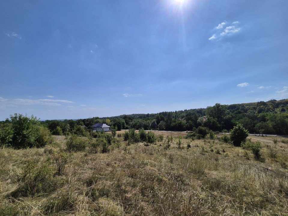 Vânzare teren 13.000 mp - Runcu-Suseni - oportunitate turistică