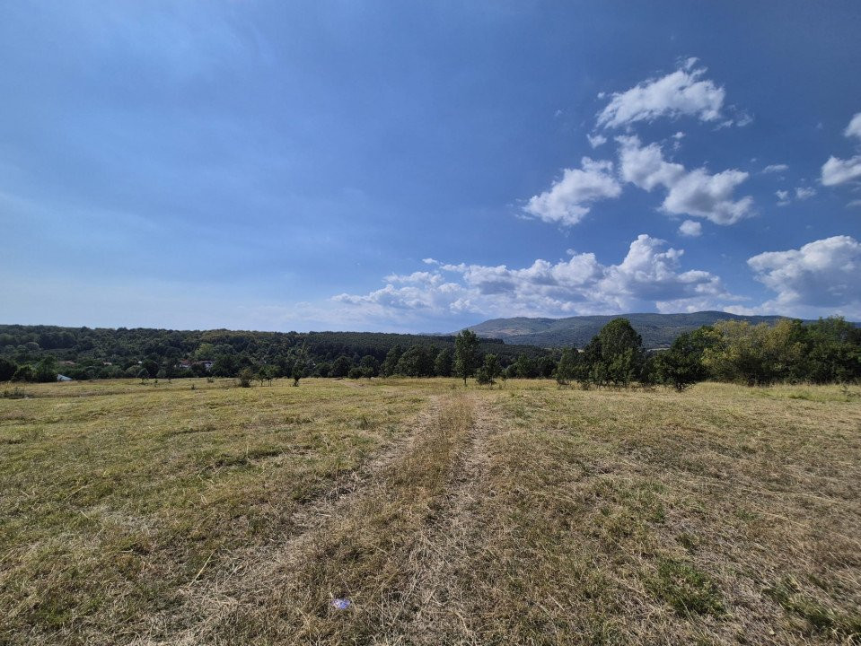 Vânzare teren 13.000 mp - Runcu-Suseni - oportunitate turistică