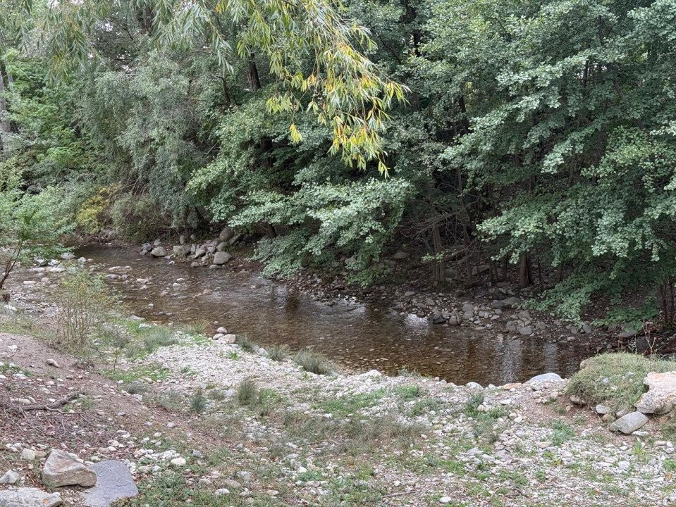 Vânzare teren 13.000 mp - Runcu-Suseni - oportunitate turistică