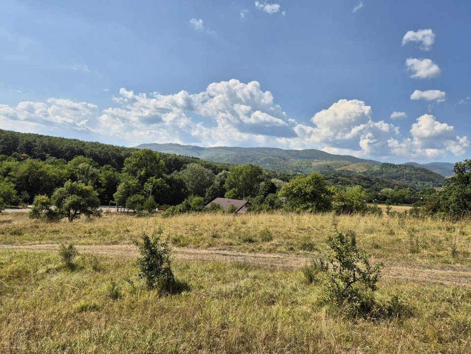 Vânzare teren 13.000 mp - Runcu-Suseni - oportunitate turistică