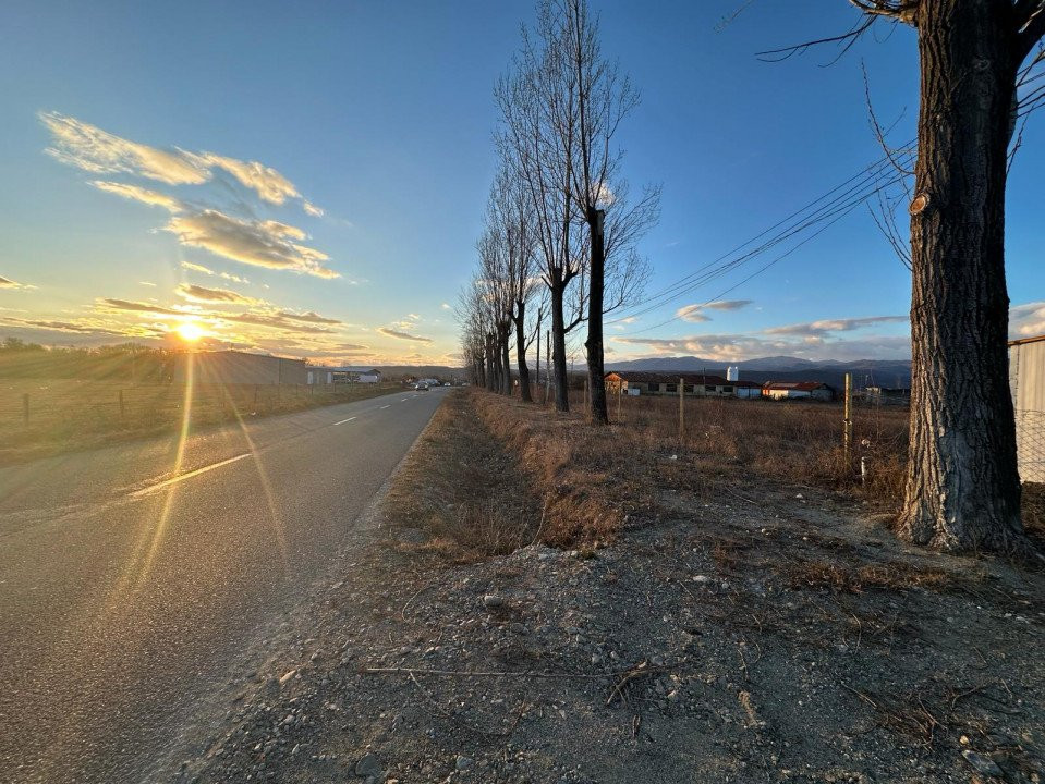 Vânzare teren intravilan 5300 mp - Tetila - infrastructură industrială 