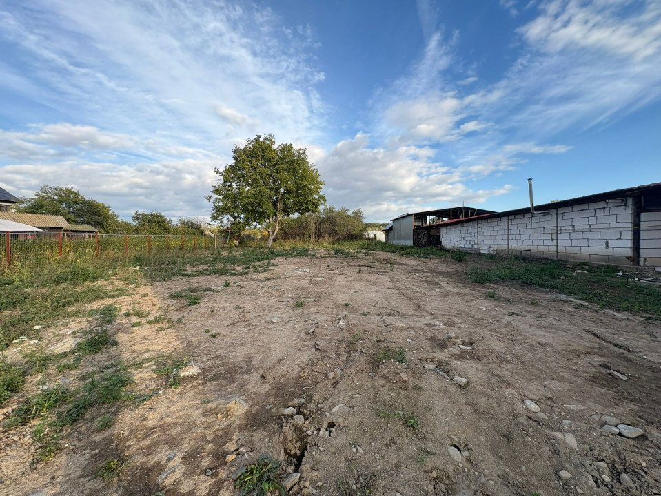 Vânzare teren 4449 mp cu utilități, Curtișoara - la 13 km de Târgu Jiu