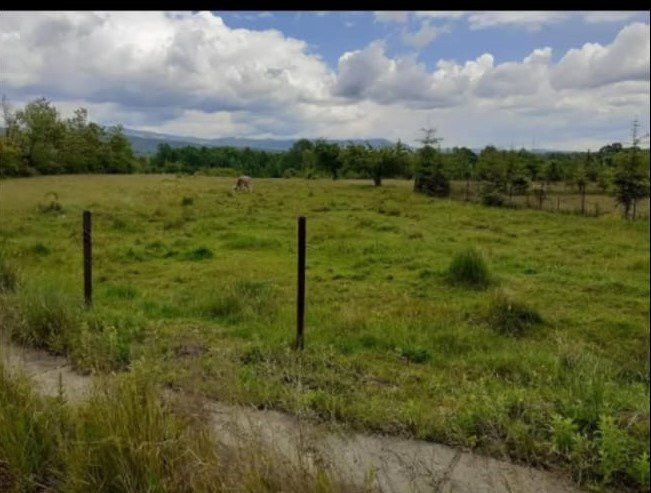 Vânzare teren 5000 mp, în comuna Crasna - sat Aninișul din Deal