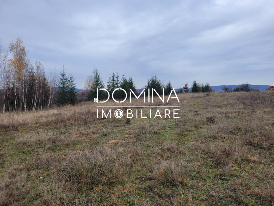 Vânzare teren 5000 mp, în comuna Crasna - sat Aninișul din Deal