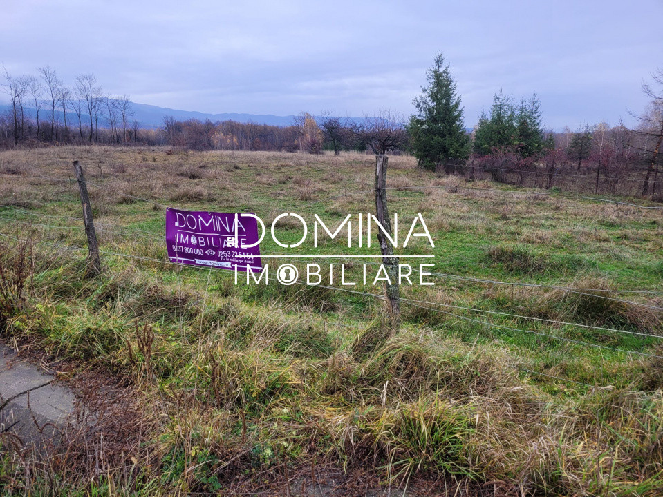 Vânzare teren 5000 mp, în comuna Crasna - sat Aninișul din Deal