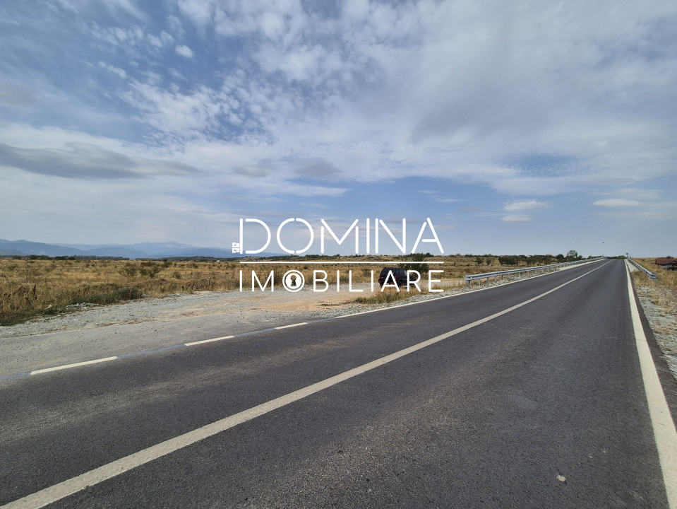 Vânzare teren intravilan - 1070 mp - strada Ciocârlău - spre Preajba