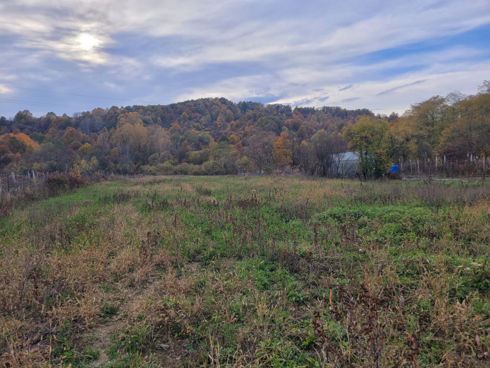 Vânzare teren intravilan, 4967  mp, utilități, sat Rasova, Bălești