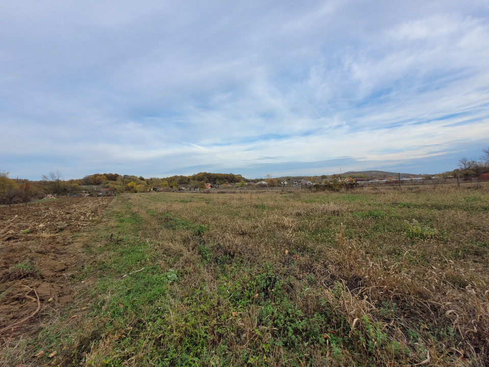 Vânzare teren intravilan, 4967  mp, utilități, sat Rasova, Bălești