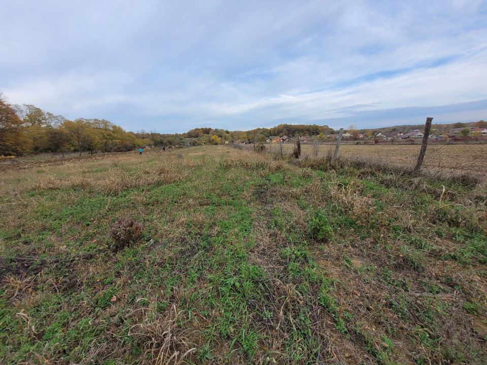 Vânzare teren intravilan, 4967  mp, utilități, sat Rasova, Bălești