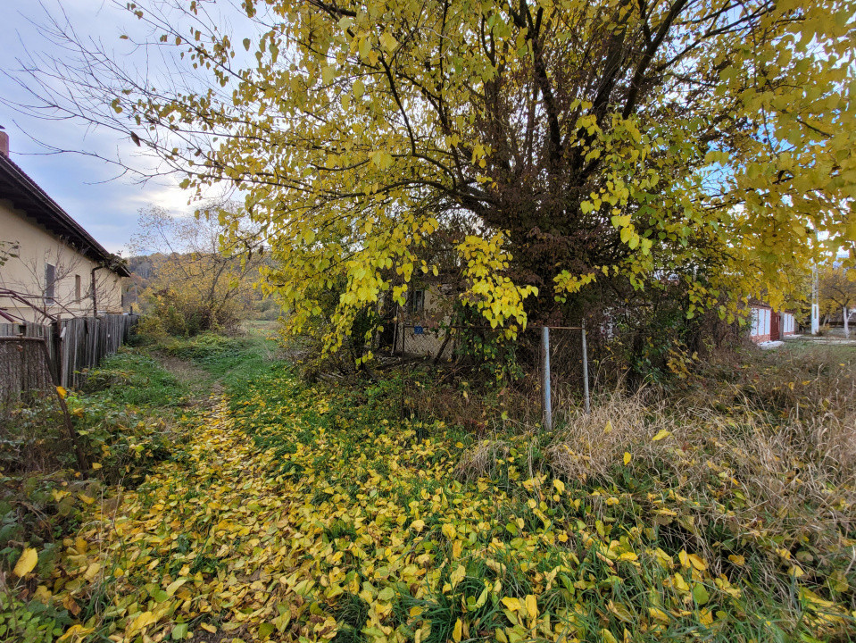 Vânzare teren intravilan, 4967  mp, utilități, sat Rasova, Bălești