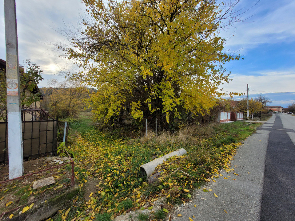 Vânzare teren intravilan, 4967  mp, utilități, sat Rasova, Bălești