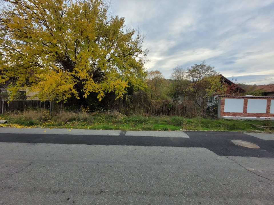 Vânzare teren intravilan, 4967  mp, utilități, sat Rasova, Bălești