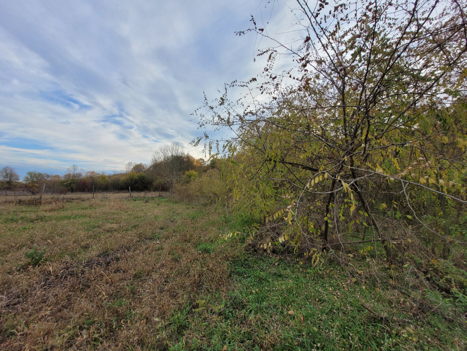 Vânzare teren intravilan, 4967  mp, utilități, sat Rasova, Bălești