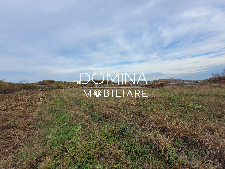 Vânzare teren intravilan, 4967  mp, utilități, sat Rasova, Bălești