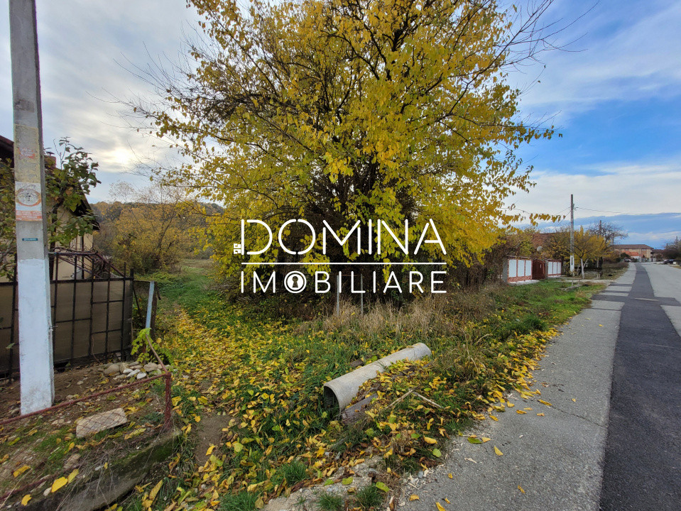 Vânzare teren intravilan, 4967  mp, utilități, sat Rasova, Bălești