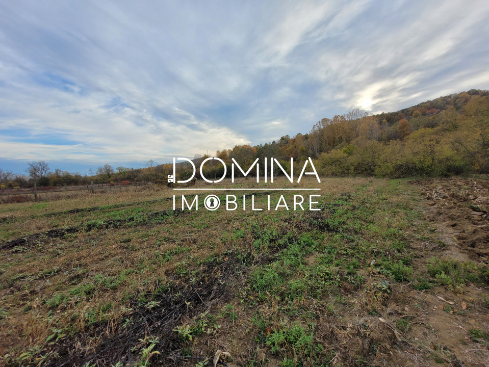 Vânzare teren intravilan, 4967  mp, utilități, sat Rasova, Bălești