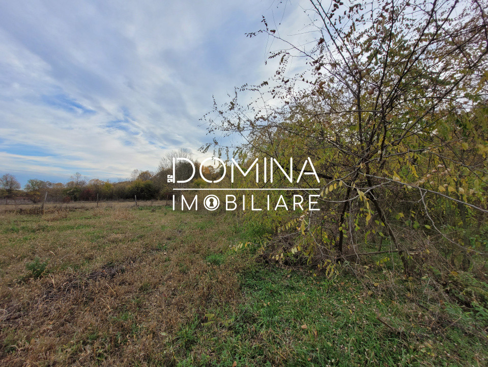 Vânzare teren intravilan, 4967  mp, utilități, sat Rasova, Bălești