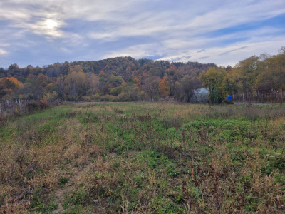 Vânzare teren intravilan, 4967  mp, utilități, sat Rasova, Bălești