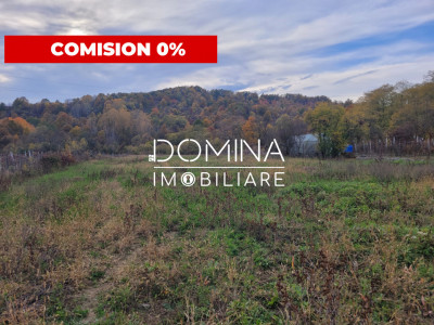 Vânzare teren intravilan, 4967  mp, utilități, sat Rasova, Bălești