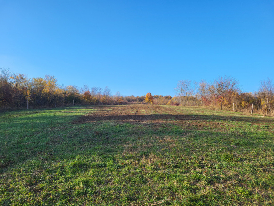 Teren 11.939 mp Bălănești – ideal rezidențial/comercial