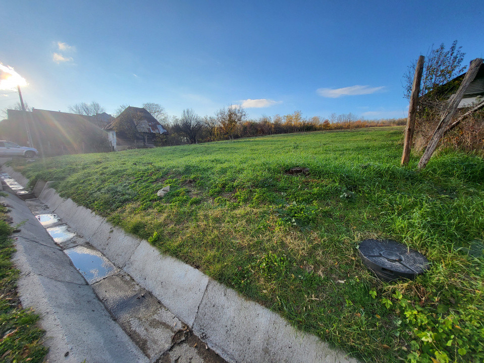 Teren 11.939 mp Bălănești – ideal rezidențial/comercial