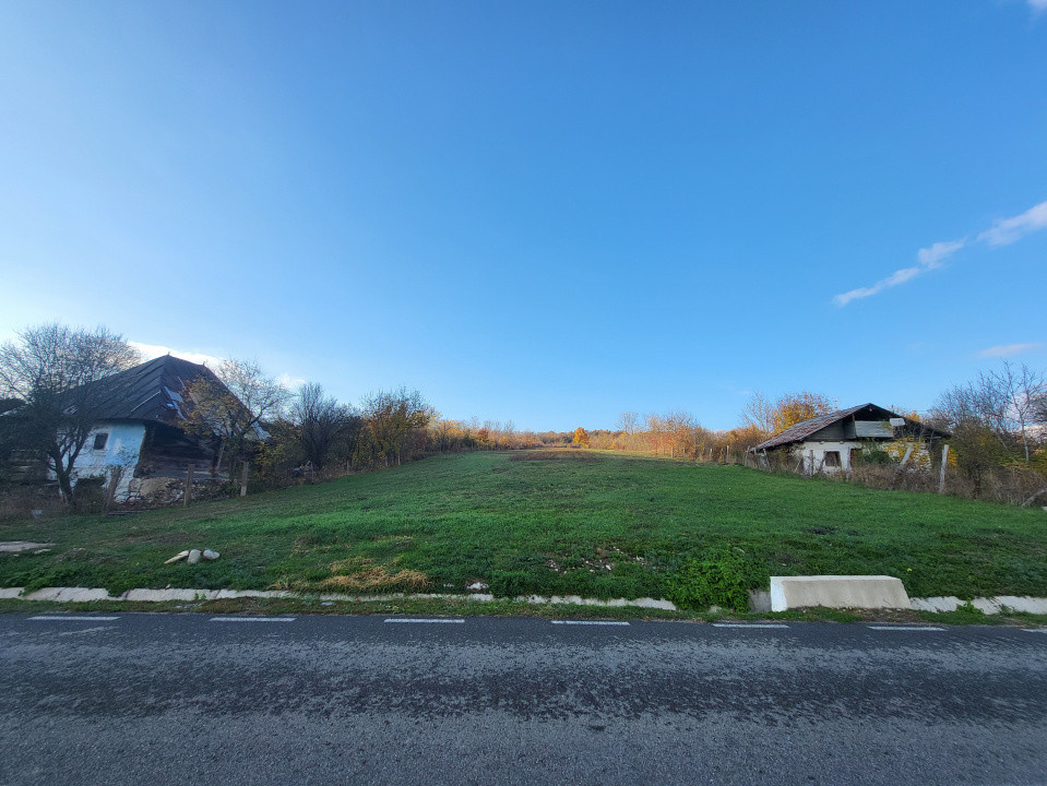 Teren 11.939 mp Bălănești – ideal rezidențial/comercial