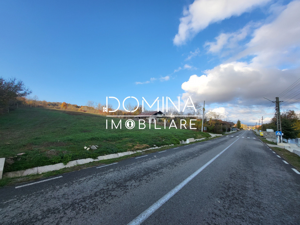 Teren 11.939 mp Bălănești – ideal rezidențial/comercial