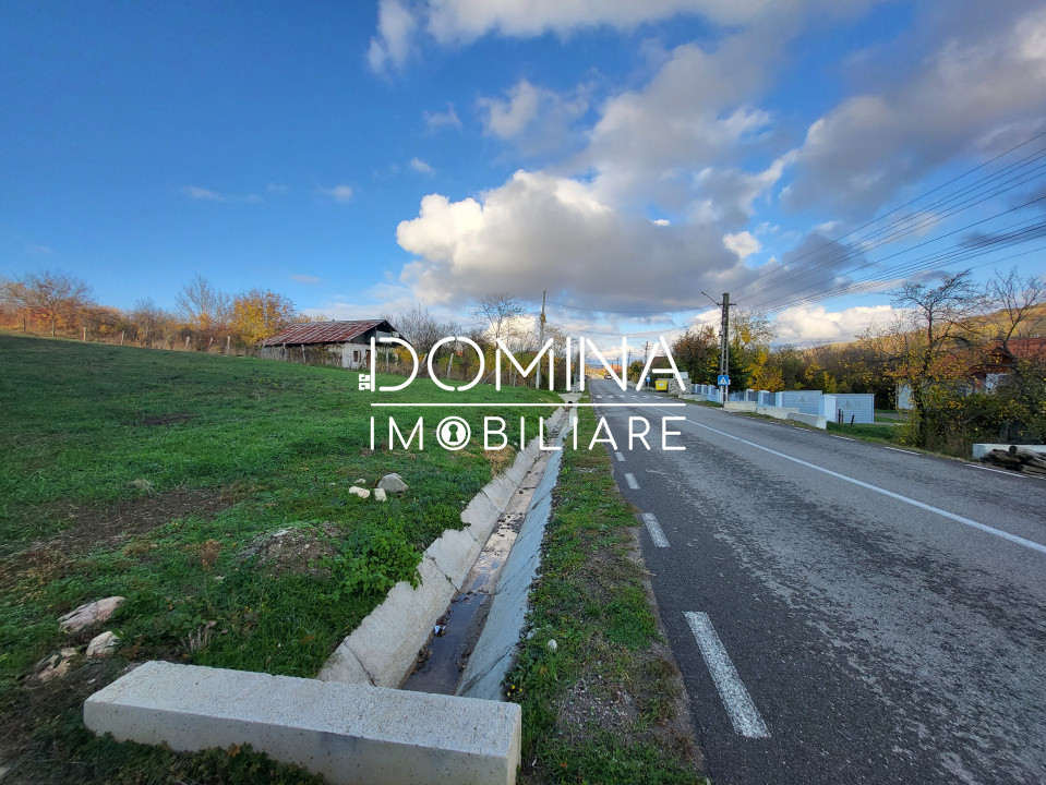 Teren 11.939 mp Bălănești – ideal rezidențial/comercial