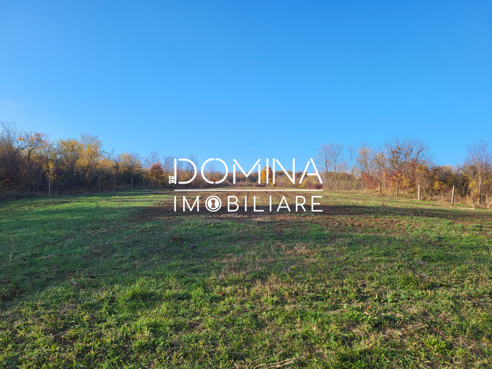 Teren 11.939 mp Bălănești – ideal rezidențial/comercial