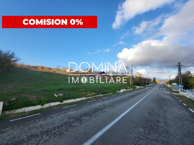 Teren 11.939 mp Bălănești – ideal rezidențial/comercial