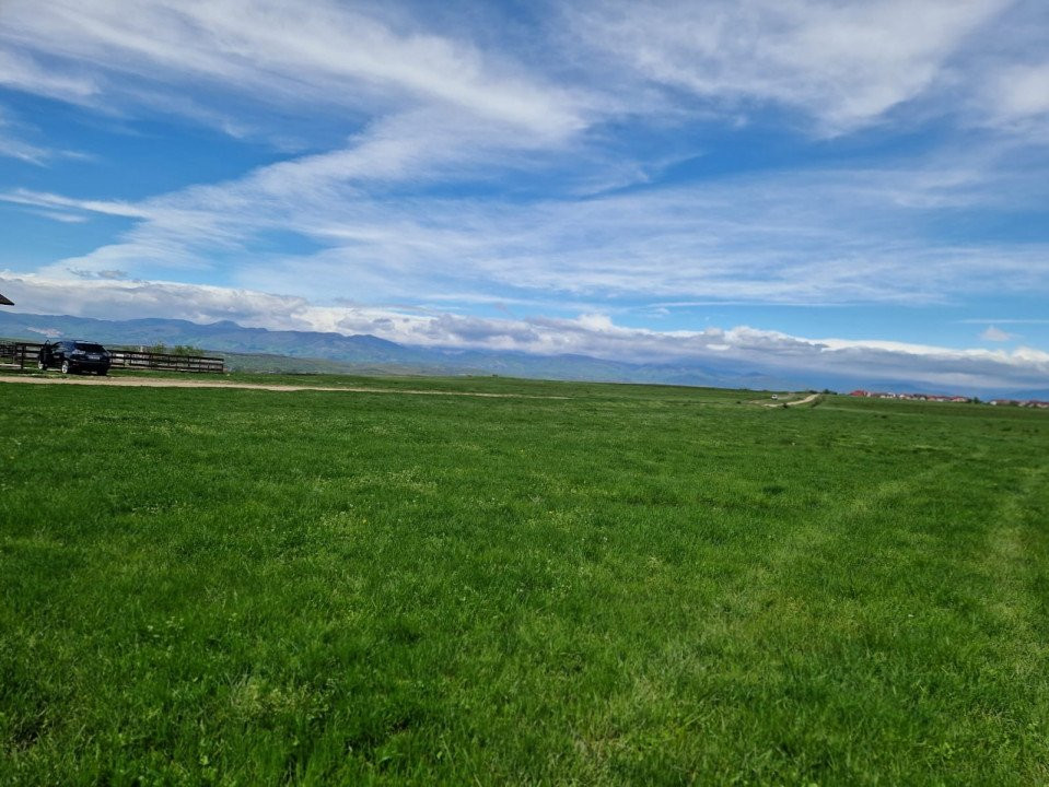 Vânzare teren extravilan 25.254 mp, situat în localitatea componentă Preajba