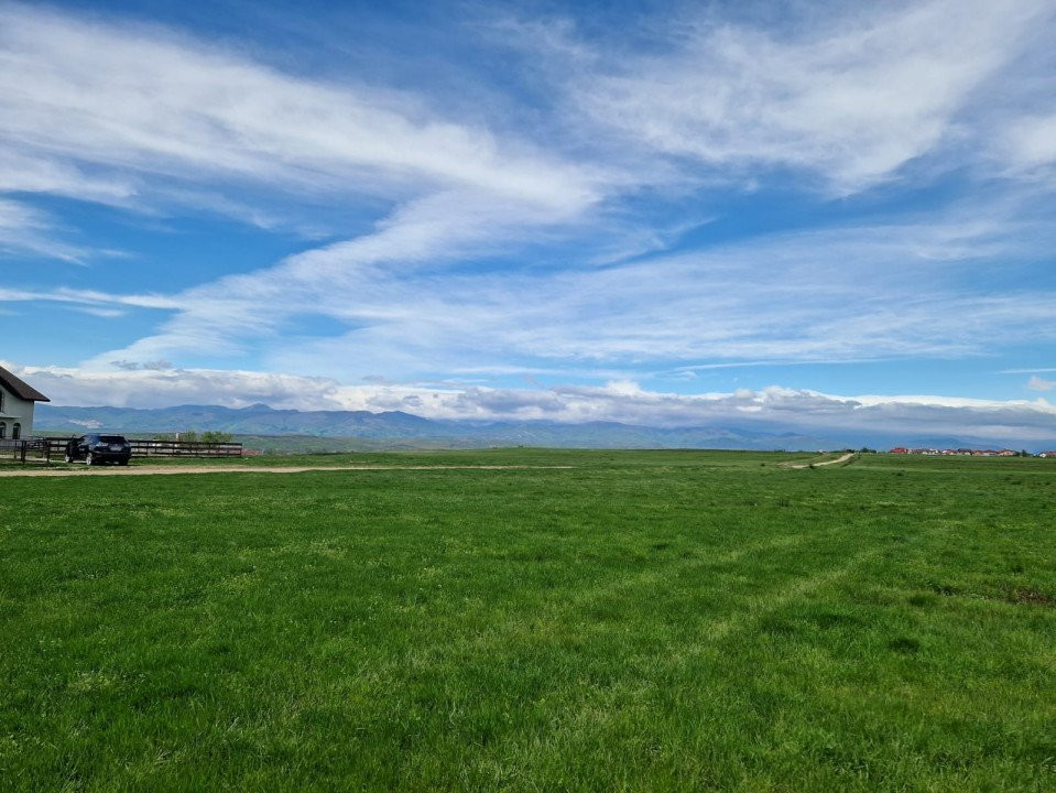 Vânzare teren extravilan 25.254 mp, situat în localitatea componentă Preajba