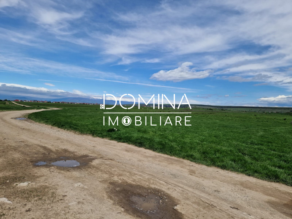 Vânzare teren extravilan 25.254 mp, situat în localitatea componentă Preajba
