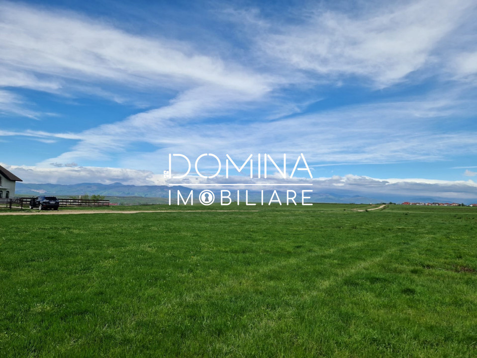 Vânzare teren extravilan 25.254 mp, situat în localitatea componentă Preajba