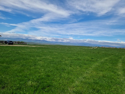 Vânzare teren extravilan 25.254 mp, situat în localitatea componentă Preajba