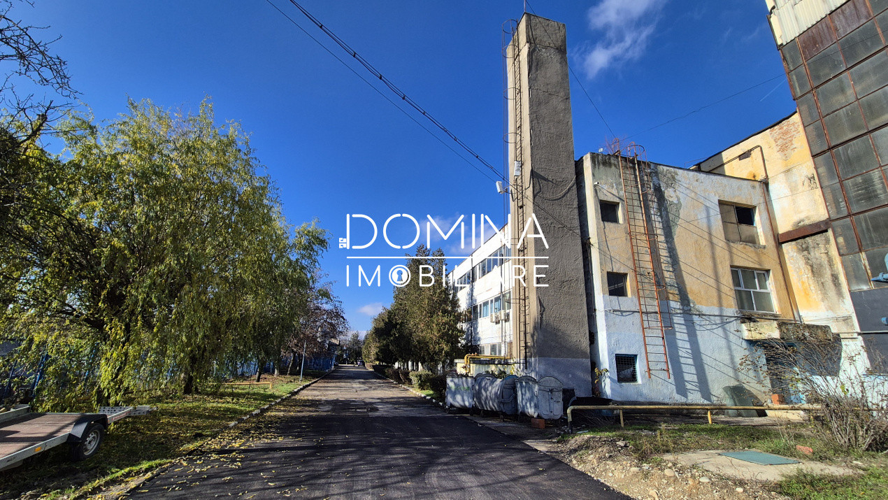 Închiriere complex industrial versatil *hale - birouri - platforme betonate* 