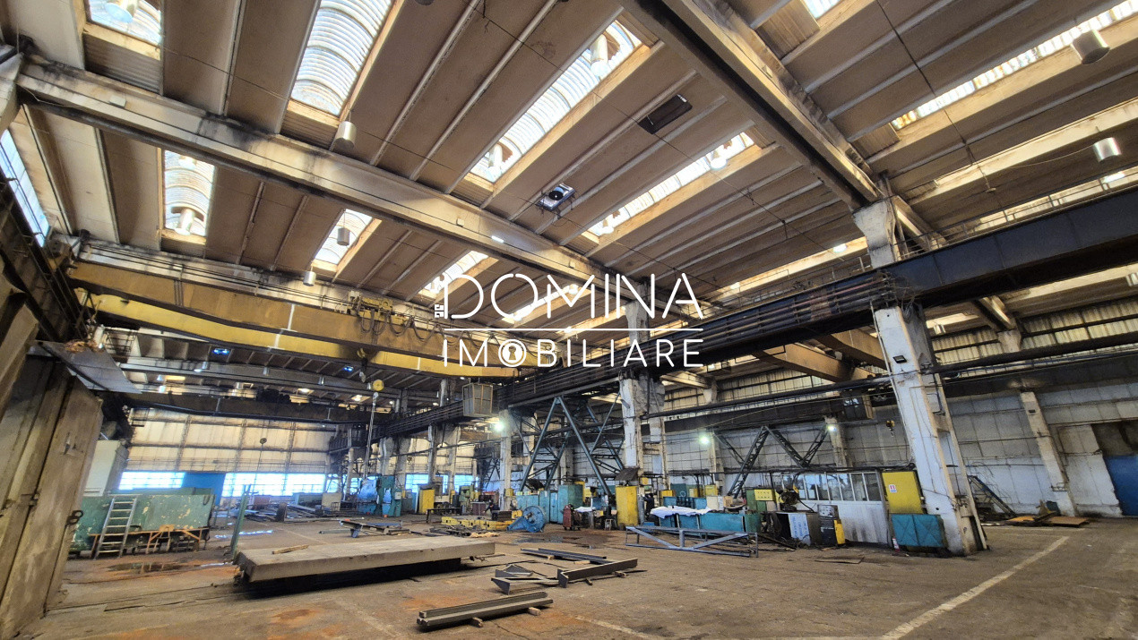 Închiriere complex industrial versatil *hale - birouri - platforme betonate* 