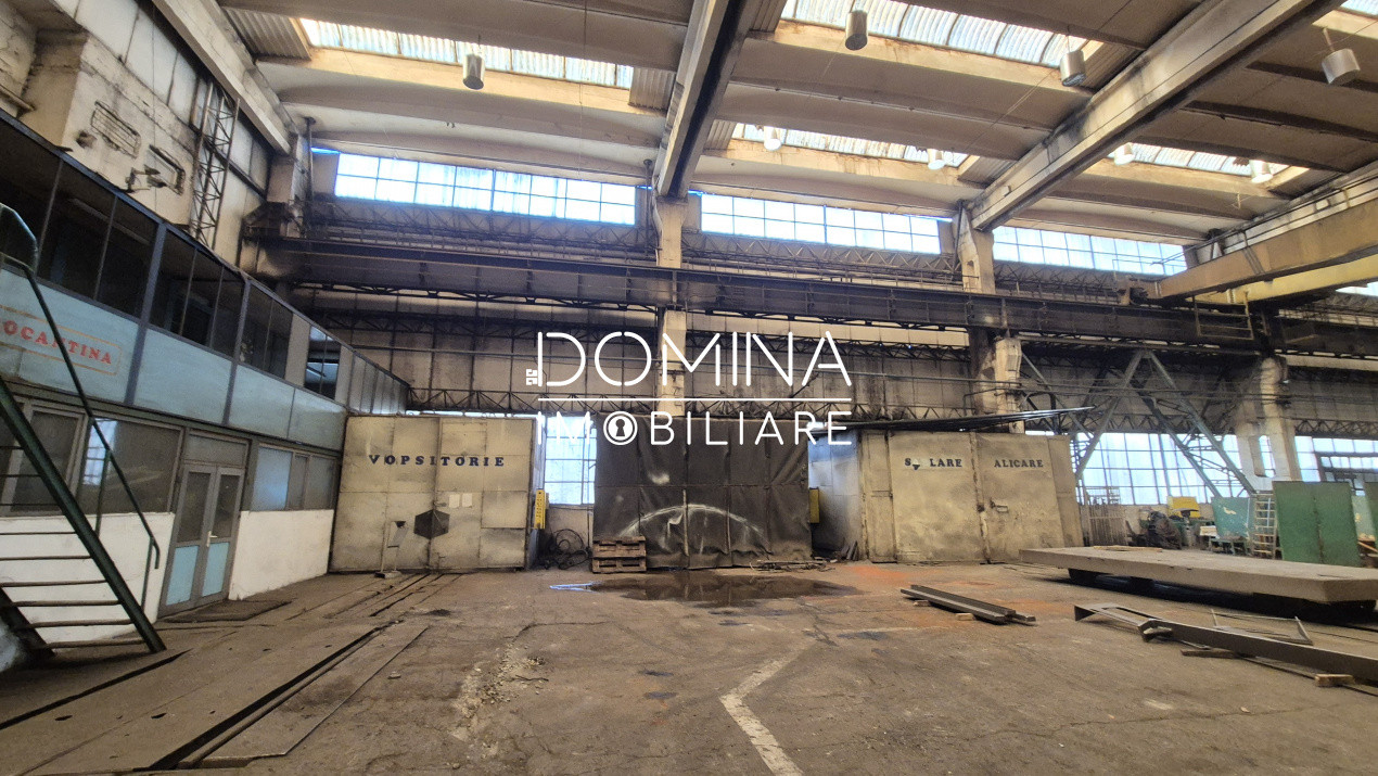Închiriere complex industrial versatil *hale - birouri - platforme betonate* 