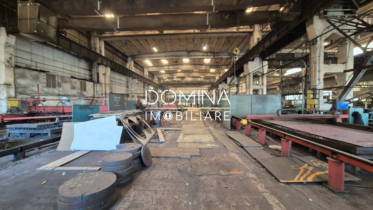 Închiriere complex industrial versatil *hale - birouri - platforme betonate* 