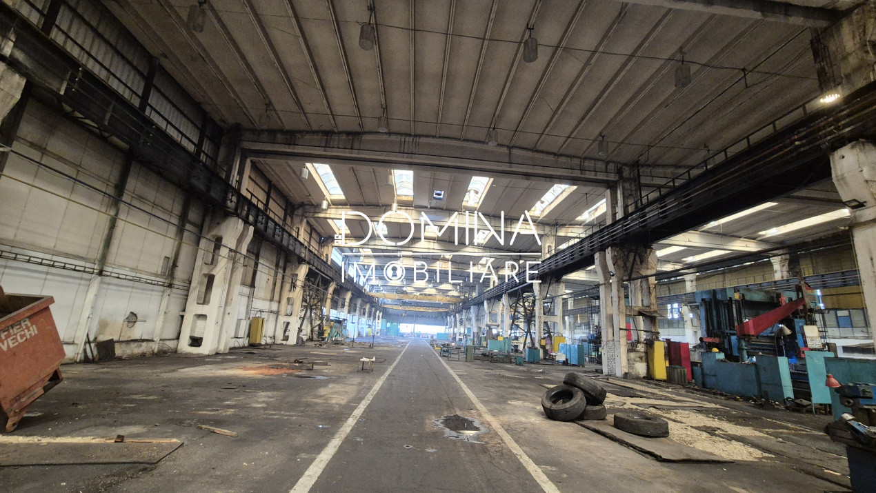 Închiriere complex industrial versatil *hale - birouri - platforme betonate* 