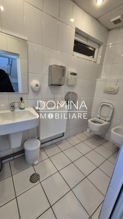 Închiriere complex industrial versatil *hale - birouri - platforme betonate* 