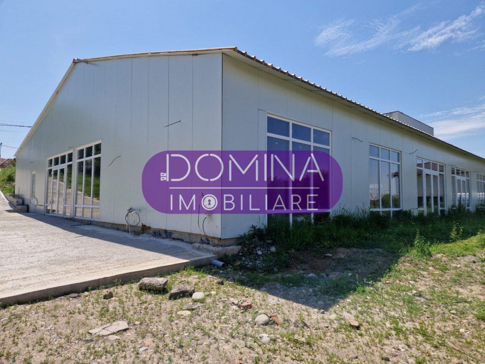 Închiriere hală industrială, situată în Târgu Jiu, Strada Narciselor