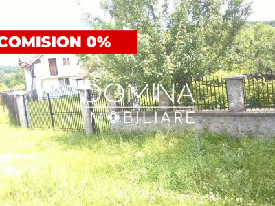 Vânzare casă P+1, cu teren 3.200 mp, în comuna Logrești, sat Măru 